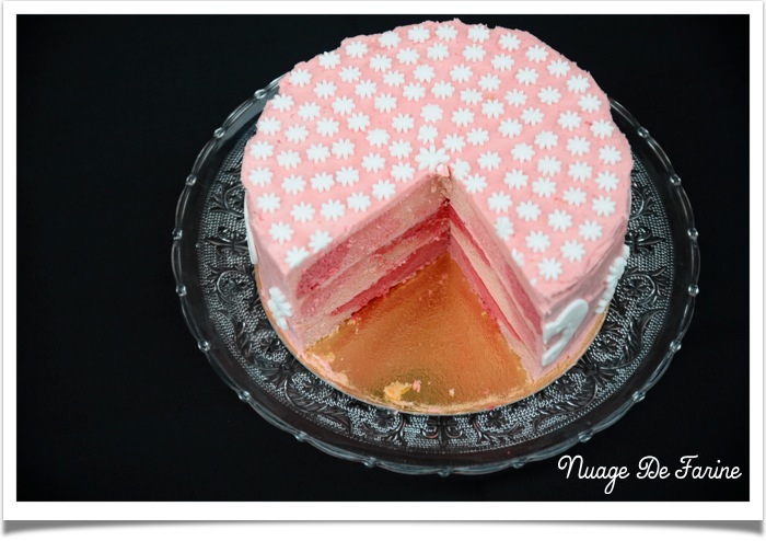Gâteau rose2