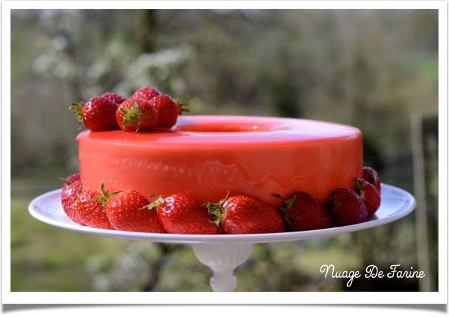 Gâteau à la mousse de fraises et ricotta2