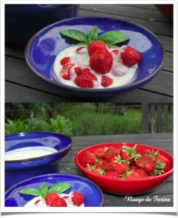 Crème anglaise légère et ses fraises