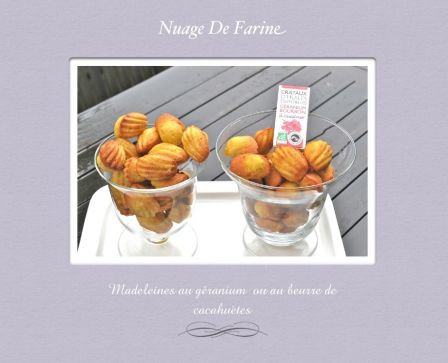 Madeleines géranium ou beurre de cacahuètes