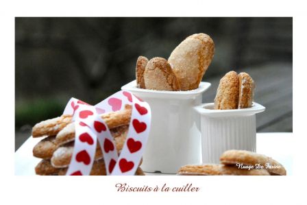 Biscuits à la cuillère