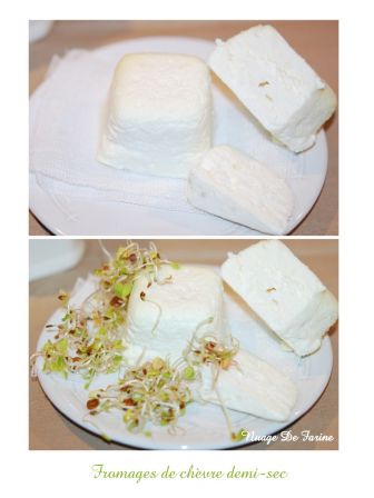 Fromages de chèvre demi-sec