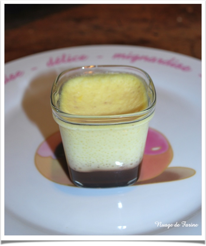 Crème vanille (flan) au coulis de chocolat Multi-Délices