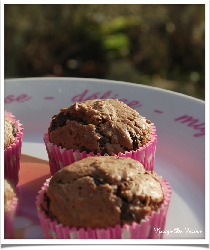 Muffins au chocolat et noix de Pécan