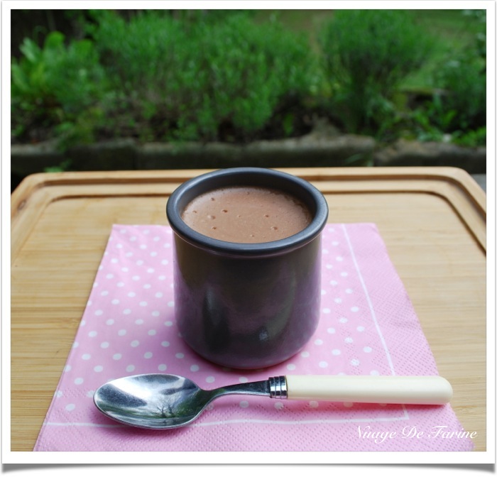 Crème végétale (ou non!) style Danette