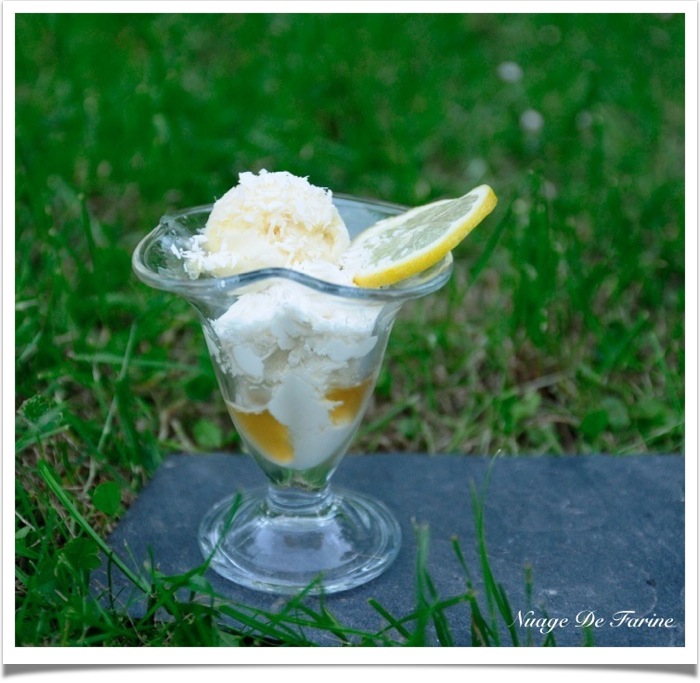 Comme une Piña Colada glacée (sorbet ananas, glace noix de coco)