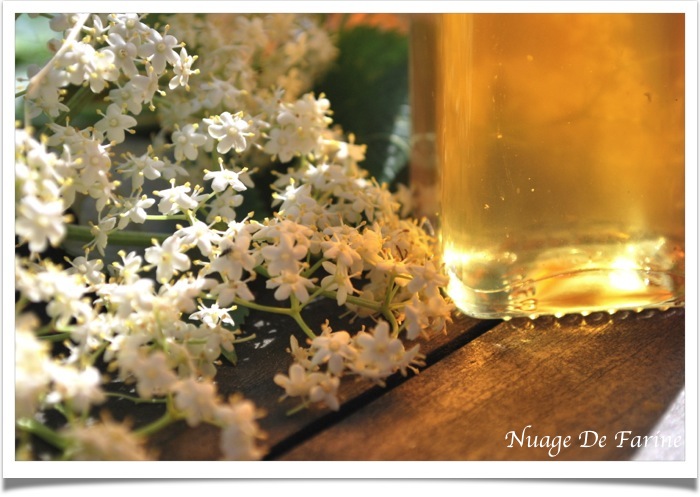 Sirop de fleurs de sureau - Nuage De Farine