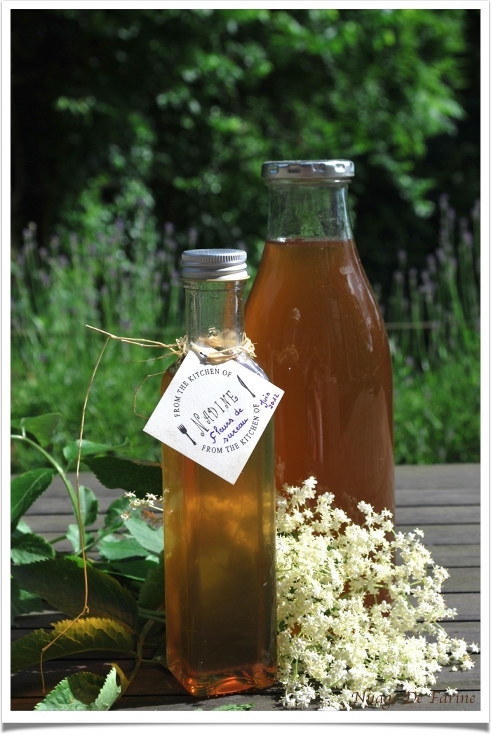 Sirop de fleurs de sureau - Nuage De Farine