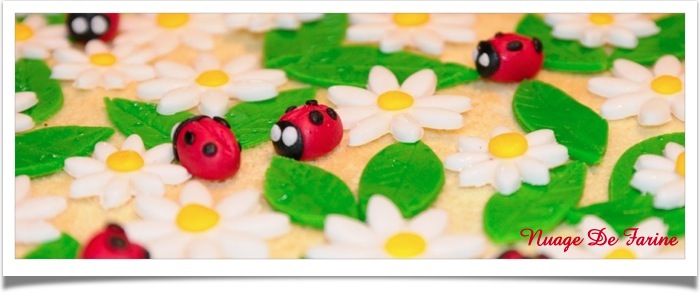 Pour célébrer le début des vacances….Gâteau à la mousse de fraises