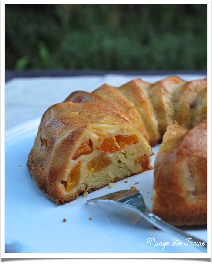 Gâteau ? clafoutis ? ou flan aux abricots ?…. à vous de choisir!