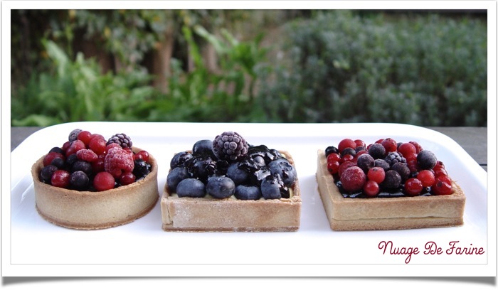 Tartelettes aux myrtilles et fruits des bois pour entrer dignement dans l’automne….