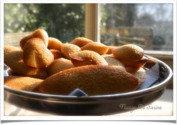 Financiers amandes yuzu5