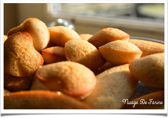 Financiers amandes yuzu6