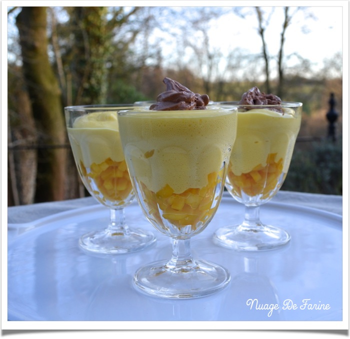 mangue et mousse au chocolat siphonnées