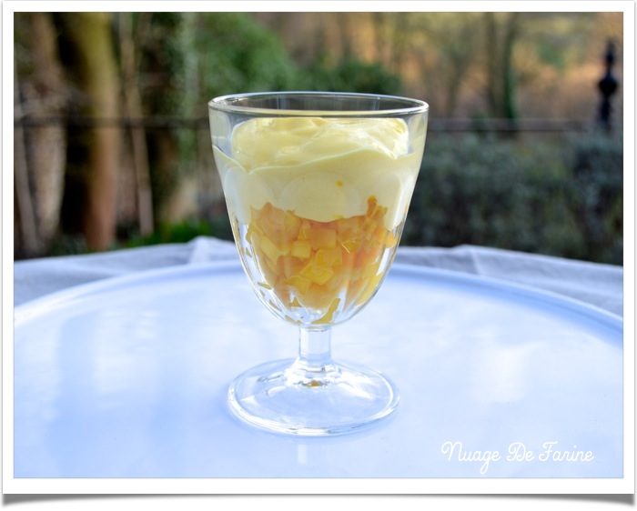 mangue et mousse au chocolat siphonnées