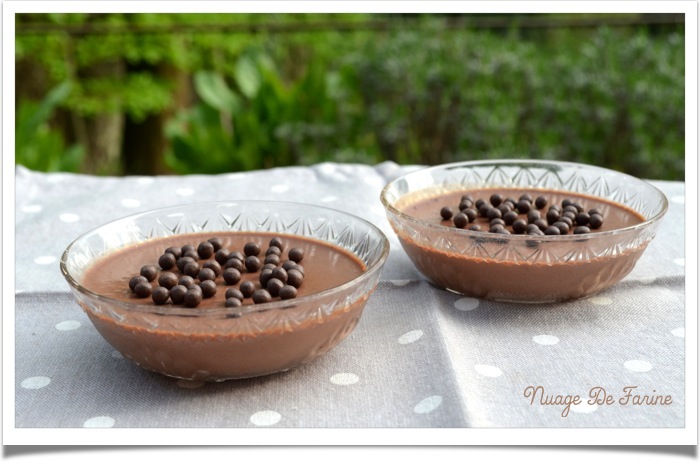 Panna cotta chocolat légère