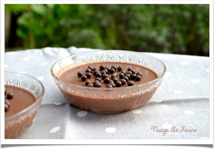 Panna cotta chocolatée légère