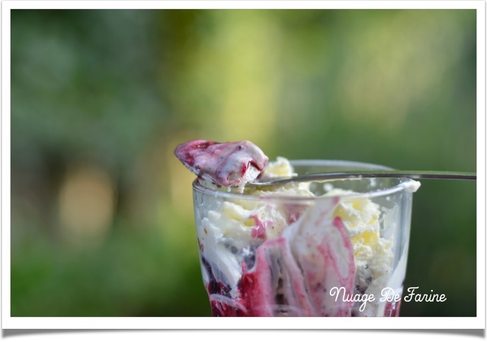 Glace vanille au lait concentré sucré végétal