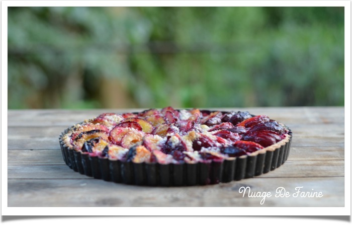 Tarte aux prunes3