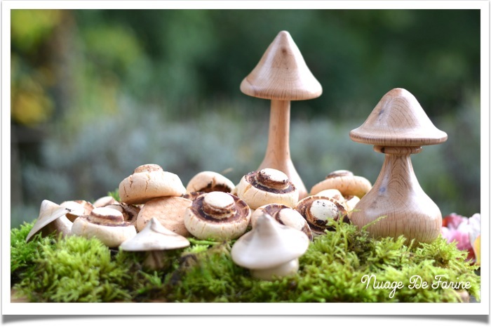 Champignons3