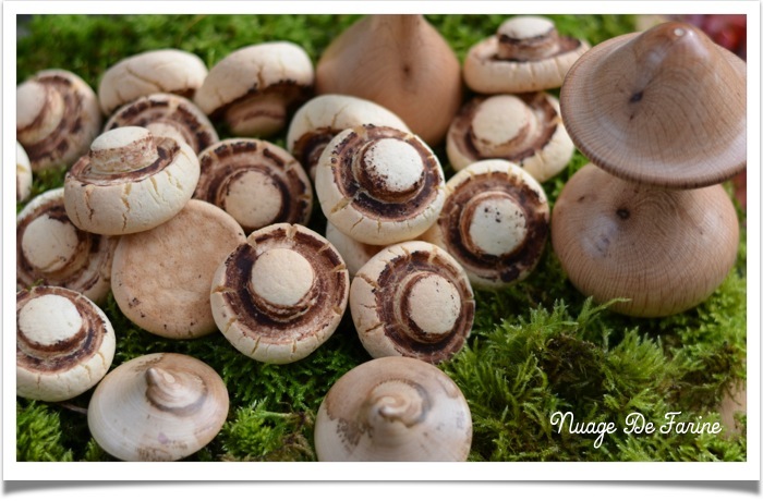 Champignons5