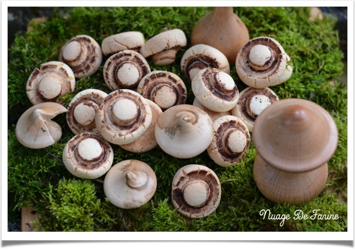 Champignons2