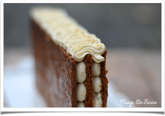 Mille-feuille érable5