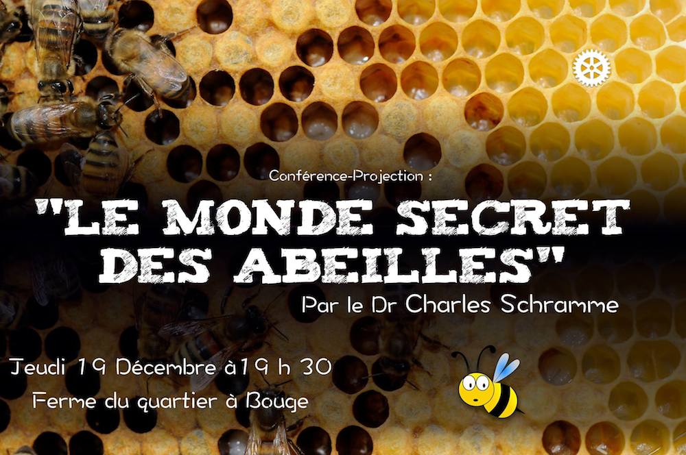 19/12 Conférence « Le monde secret des abeilles »