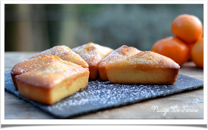 Gâteau aux amandes et clémentines3