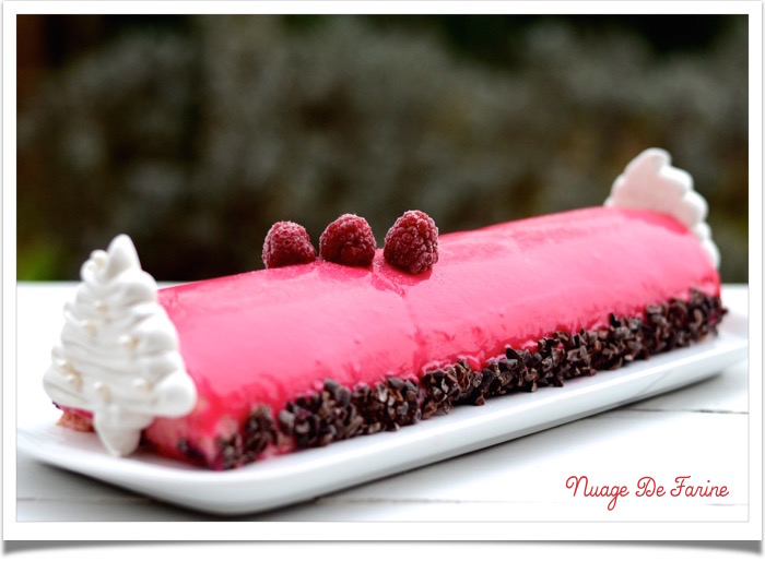 Bûche litchis et framboises