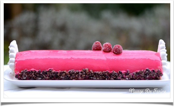 Bûche litchis framboises4