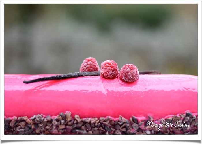 Bûche litchis framboises6