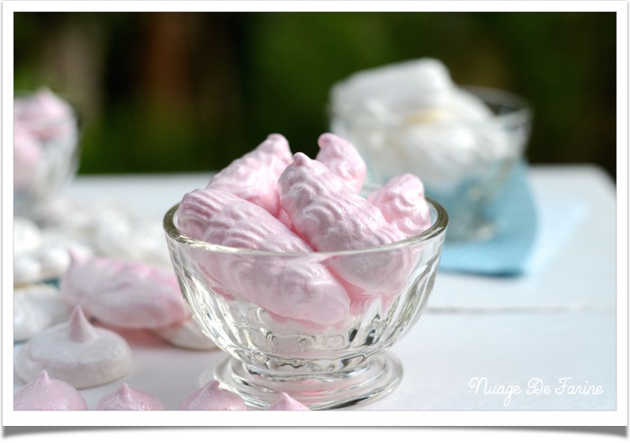 Meringues vegetales5