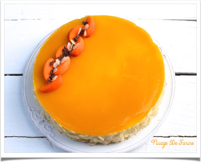 Entremets Abricots Mangue Fruits De La Passion Nuage De Farine