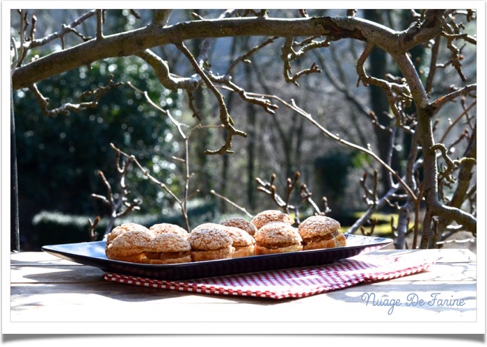 Petits choux crème pralinée ou Paris-Brest?