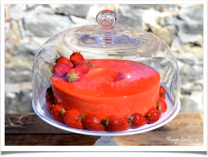 Gâteau à la mousse de fraises et ricotta4