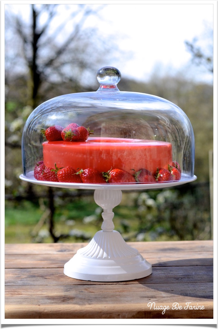 Gâteau à la mousse de fraises et ricotta3