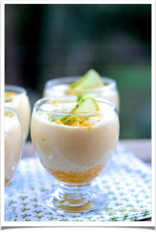 Mousse de mangue aussi légère qu’une plume….