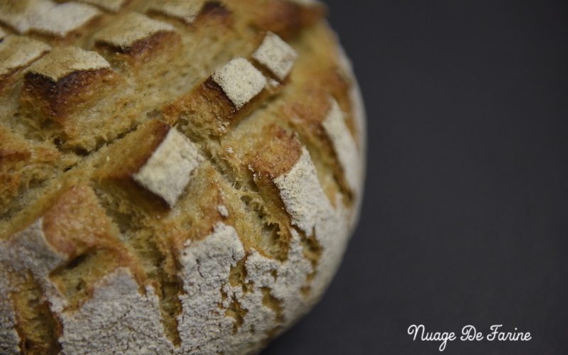 Pain au levain sans pétrissage