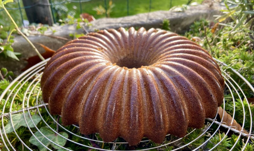 Gâteau Madeleine