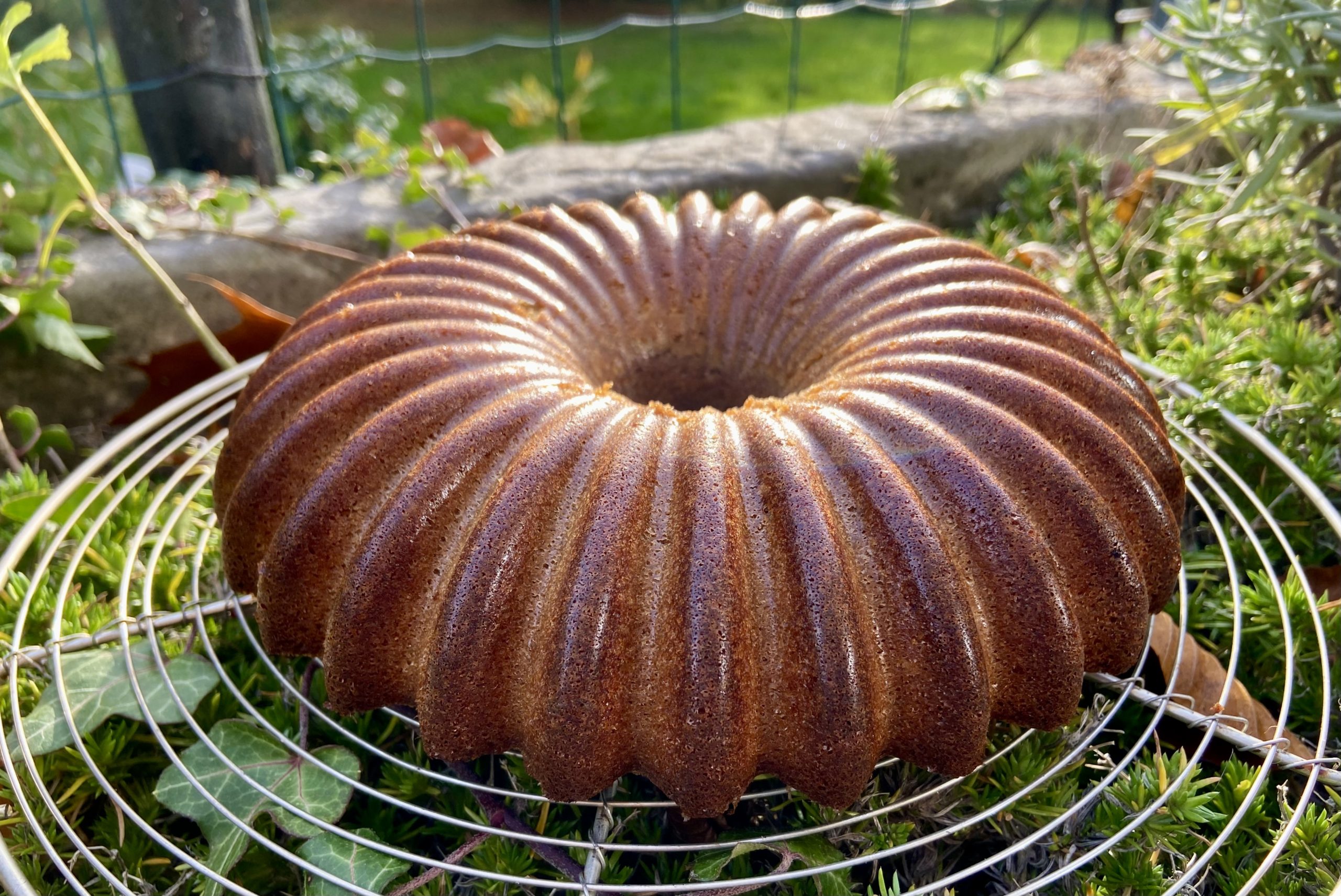 Gâteau Madeleine