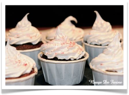 Cupcakes cacao et miel