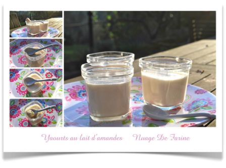 Yaourts arôme naturel noix de coco - Les recettes de Zaza .