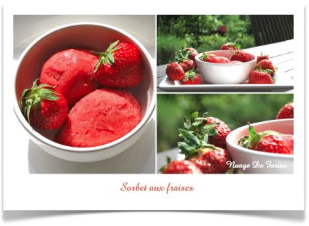 Sorbet aux fraises