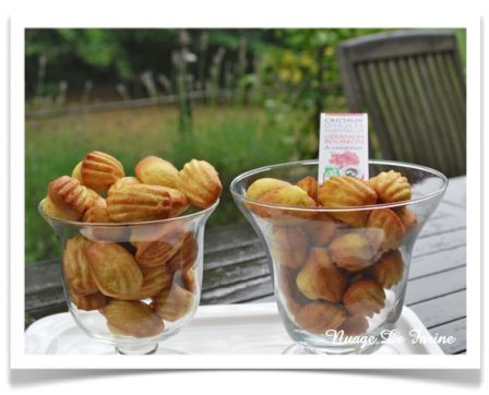 Madeleines au géranium ou au beurre de cacahuètes?