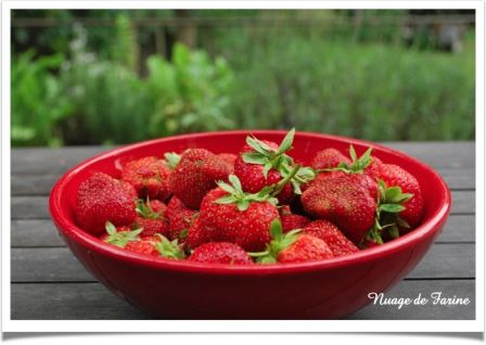 Crème anglaise légère et ses fraises