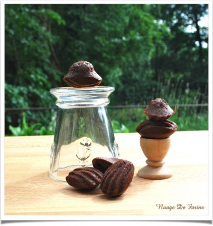 Madeleines au chocolat