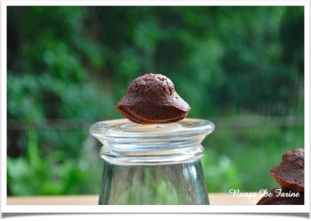 Madeleines au chocolat