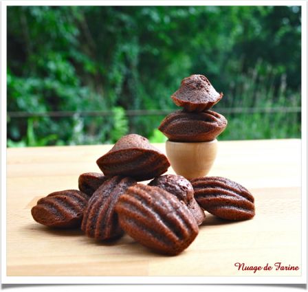 Madeleines au chocolat