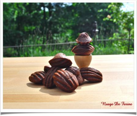 Madeleines au chocolat